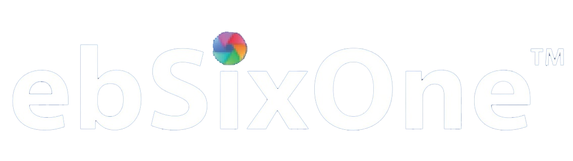 EB61 - Business DNA Model